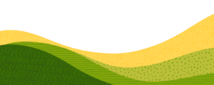 トップ背景